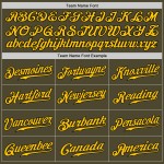 Camiseta de béisbol auténtica personalizada, color oliva, dorado y negro. Camiseta de béisbol auténtica personalizada, color oliva, dorado y negro.